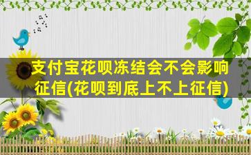 支付宝花呗冻结会不会影响征信(花呗到底上不上征信)