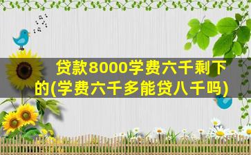 贷款8000学费六千剩下的(学费六千多能贷八千吗)