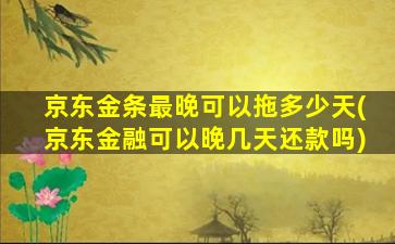 京东金条最晚可以拖多少天(京东金融可以晚几天还款吗)