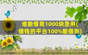 谁能借我1000块急用(借钱的平台100%能借到)