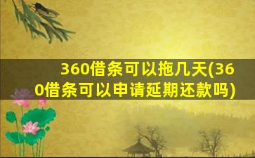 360借条可以拖几天(360借条可以申请延期还款吗)