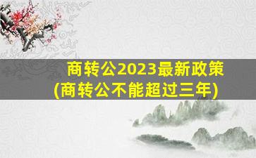 商转公2023最新政策(商转公不能超过三年)