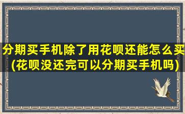 分期买手机除了用花呗还能怎么买(花呗没还完可以分期买手机吗)