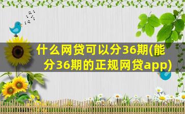 什么网贷可以分36期(能分36期的正规网贷app)