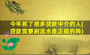 今年抓了很多贷款中介的人(贷款需要刷流水是正规的吗)