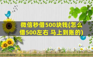 微信秒借500块钱(怎么借500左右 马上到账的)