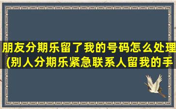 朋友分期乐留了我的号码怎么处理(别人分期乐紧急联系人留我的手机号)