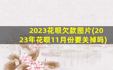 2023花呗欠款图片(2023年花呗11月份要关掉吗)