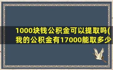 1000块钱公积金可以提取吗(我的公积金有17000能取多少)