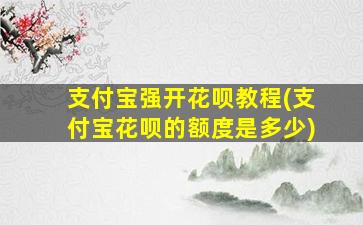 支付宝强开花呗教程(支付宝花呗的额度是多少)