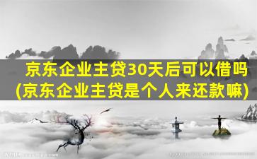 京东企业主贷30天后可以借吗(京东企业主贷是个人来还款嘛)