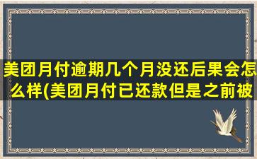 美团月付逾期几个月没还后果会怎么样(美团月付已还款但是之前被扣款了)