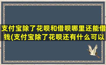 支付宝除了花呗和借呗哪里还能借钱(支付宝除了花呗还有什么可以借款)