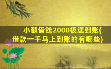 小额借钱2000极速到账(借款一千马上到账的有哪些)