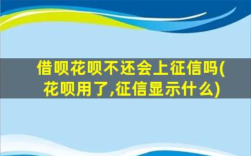 借呗花呗不还会上征信吗(花呗用了,征信显示什么)