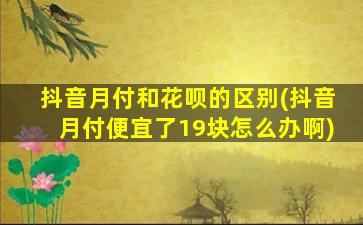 抖音月付和花呗的区别(抖音月付便宜了19块怎么办啊)