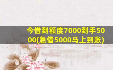 今借到额度7000到手5000(急借5000马上到账)