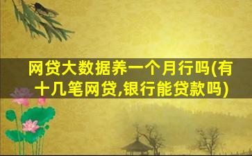 网贷大数据养一个月行吗(有十几笔网贷,银行能贷款吗)