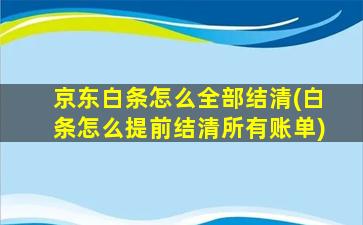 京东白条怎么全部结清(白条怎么提前结清所有账单)