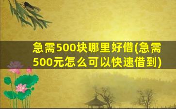 急需500块哪里好借(急需500元怎么可以快速借到)