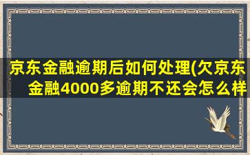 京东金融逾期后如何处理(欠京东金融4000多逾期不还会怎么样)