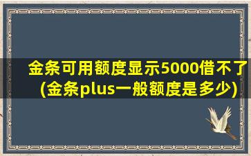 金条可用额度显示5000借不了(金条plus一般额度是多少)