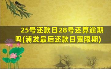 25号还款日28号还算逾期吗(浦发最后还款日宽限期)