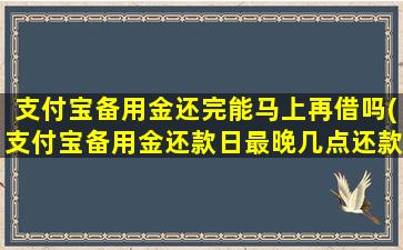 支付宝备用金还完能马上再借吗(支付宝备用金还款日最晚几点还款)