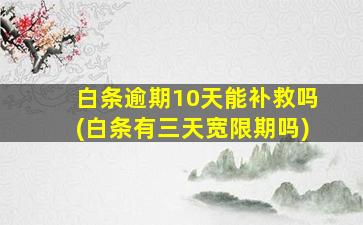 白条逾期10天能补救吗(白条有三天宽限期吗)