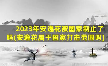 2023年安逸花被国家制止了吗(安逸花属于国家打击范围吗)