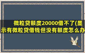 微粒贷额度20000借不了(显示有微粒贷借钱但没有额度怎么办)