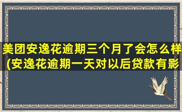 美团安逸花逾期三个月了会怎么样(安逸花逾期一天对以后贷款有影响吗)