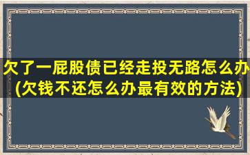 欠了一屁股债已经走投无路怎么办(欠钱不还怎么办最有效的方法)