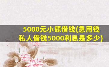 5000元小额借钱(急用钱私人借钱5000利息是多少)