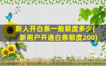 新人开白条一般额度多少(新用户开通白条额度200)