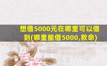 想借5000元在哪里可以借到(哪里能借5000,救命)