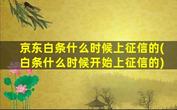 京东白条什么时候上征信的(白条什么时候开始上征信的)