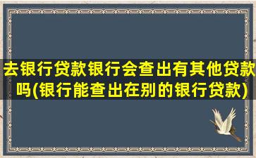 去银行贷款银行会查出有其他贷款吗(银行能查出在别的银行贷款)