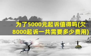 为了5000元起诉值得吗(欠8000起诉一共需要多少费用)