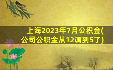 上海2023年7月公积金(公司公积金从12调到5了)