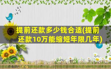 提前还款多少钱合适(提前还款10万能缩短年限几年)