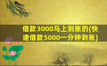 借款3000马上到账的(快速借款5000一分钟到账)