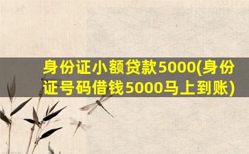 身份证小额贷款5000(身份证号码借钱5000马上到账)