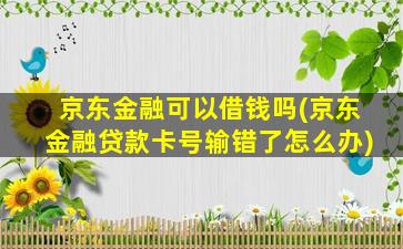 京东金融可以借钱吗(京东金融贷款卡号输错了怎么办)