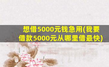 想借5000元钱急用(我要借款5000元从哪里借最快)