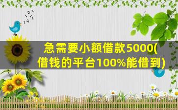 急需要小额借款5000(借钱的平台100%能借到)