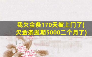 我欠金条170天被上门了(欠金条逾期5000二个月了)