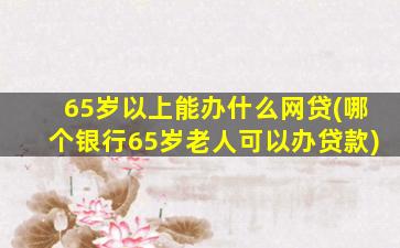 65岁以上能办什么网贷(哪个银行65岁老人可以办贷款)