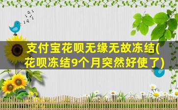 支付宝花呗无缘无故冻结(花呗冻结9个月突然好使了)