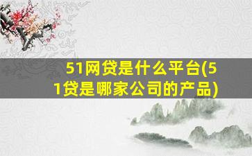 51网贷是什么平台(51贷是哪家公司的产品)